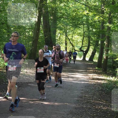 22.09.2024 - 32. Volkslauf durch das schöne Alstertal Miley Keyser http://msf.ph/oto/7136353 22.09.2024 10:40:37 Laufen 2557, 2430, 2313 meine-sportfotos.de