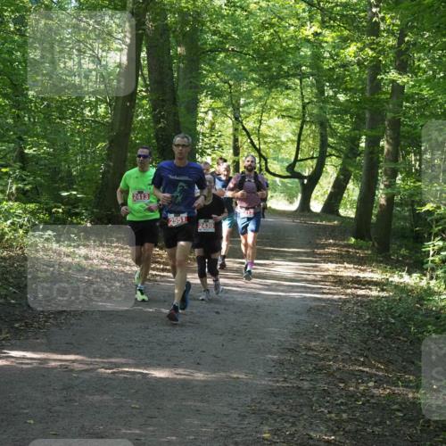 22.09.2024 - 32. Volkslauf durch das schöne Alstertal Miley Keyser http://msf.ph/oto/7136354 22.09.2024 10:40:36 Laufen 2413, 2551, 2430 meine-sportfotos.de