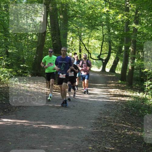 22.09.2024 - 32. Volkslauf durch das schöne Alstertal Miley Keyser http://msf.ph/oto/7136355 22.09.2024 10:40:36 Laufen 2413, 2551, 2430 meine-sportfotos.de
