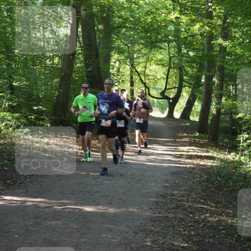 22.09.2024 - 32. Volkslauf durch das schöne Alstertal Miley Keyser http://msf.ph/oto/7136356 22.09.2024 10:40:36 Laufen 2413, 255, 430 meine-sportfotos.de