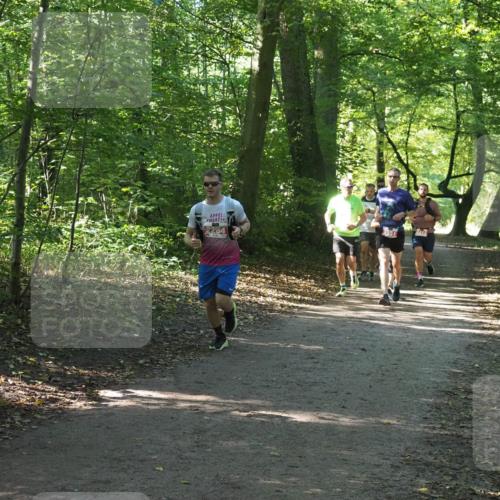 22.09.2024 - 32. Volkslauf durch das schöne Alstertal Miley Keyser http://msf.ph/oto/7136358 22.09.2024 10:40:35 Laufen 464, 2557, 213 meine-sportfotos.de