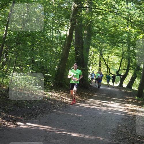 22.09.2024 - 32. Volkslauf durch das schöne Alstertal Miley Keyser http://msf.ph/oto/7136361 22.09.2024 10:40:27 Laufen  meine-sportfotos.de