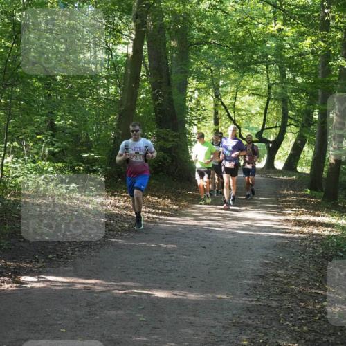 22.09.2024 - 32. Volkslauf durch das schöne Alstertal Miley Keyser http://msf.ph/oto/7136362 22.09.2024 10:40:34 Laufen 2264 meine-sportfotos.de