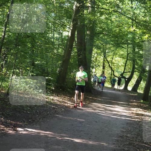 22.09.2024 - 32. Volkslauf durch das schöne Alstertal Miley Keyser http://msf.ph/oto/7136363 22.09.2024 10:40:26 Laufen  meine-sportfotos.de