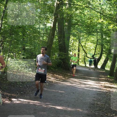 22.09.2024 - 32. Volkslauf durch das schöne Alstertal Miley Keyser http://msf.ph/oto/7136365 22.09.2024 10:40:25 Laufen 2374, 2356 meine-sportfotos.de