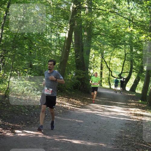 22.09.2024 - 32. Volkslauf durch das schöne Alstertal Miley Keyser http://msf.ph/oto/7136366 22.09.2024 10:40:25 Laufen 4, 2356 meine-sportfotos.de