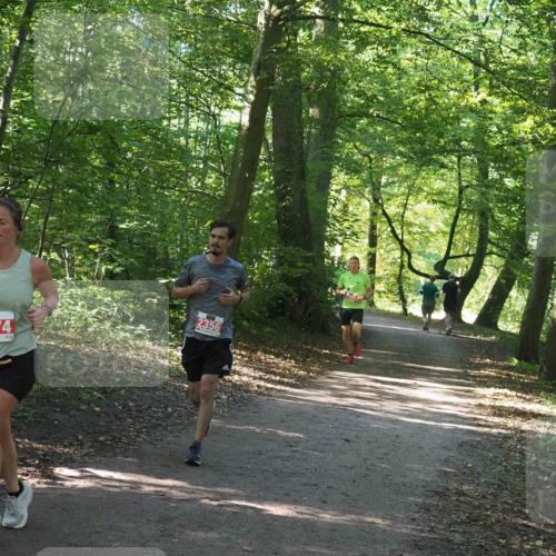 22.09.2024 - 32. Volkslauf durch das schöne Alstertal Miley Keyser http://msf.ph/oto/7136367 22.09.2024 10:40:25 Laufen 2374, 2356 meine-sportfotos.de