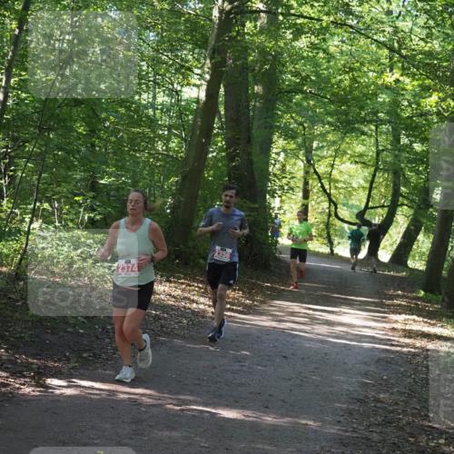 22.09.2024 - 32. Volkslauf durch das schöne Alstertal Miley Keyser http://msf.ph/oto/7136369 22.09.2024 10:40:24 Laufen 2374, 2356 meine-sportfotos.de