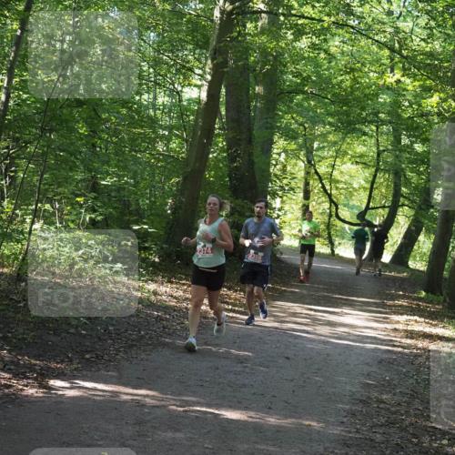 22.09.2024 - 32. Volkslauf durch das schöne Alstertal Miley Keyser http://msf.ph/oto/7136370 22.09.2024 10:40:23 Laufen 2374, 2356 meine-sportfotos.de