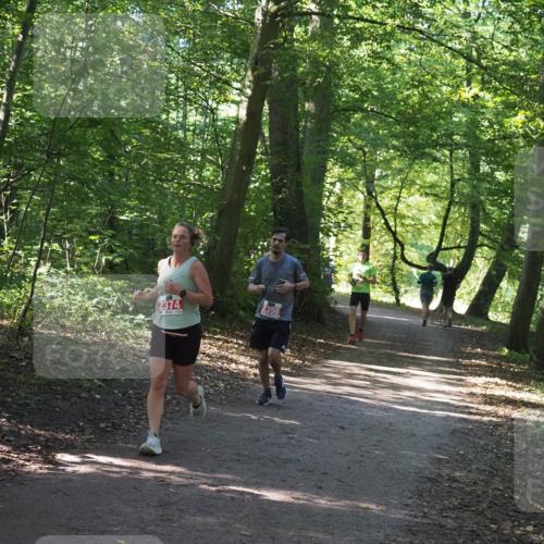 22.09.2024 - 32. Volkslauf durch das schöne Alstertal Miley Keyser http://msf.ph/oto/7136371 22.09.2024 10:40:24 Laufen 2374, 2356 meine-sportfotos.de