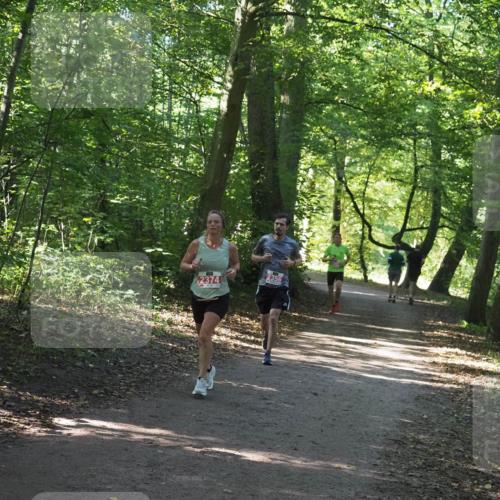 22.09.2024 - 32. Volkslauf durch das schöne Alstertal Miley Keyser http://msf.ph/oto/7136372 22.09.2024 10:40:23 Laufen 2374, 2356 meine-sportfotos.de
