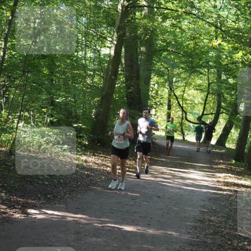 22.09.2024 - 32. Volkslauf durch das schöne Alstertal Miley Keyser http://msf.ph/oto/7136374 22.09.2024 10:40:23 Laufen 2374 meine-sportfotos.de