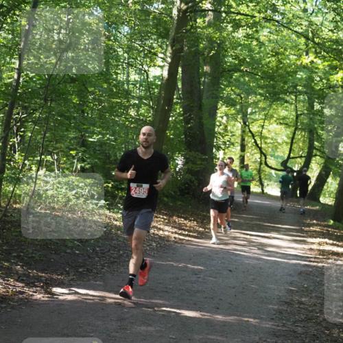 22.09.2024 - 32. Volkslauf durch das schöne Alstertal Miley Keyser http://msf.ph/oto/7136375 22.09.2024 10:40:22 Laufen 2495 meine-sportfotos.de