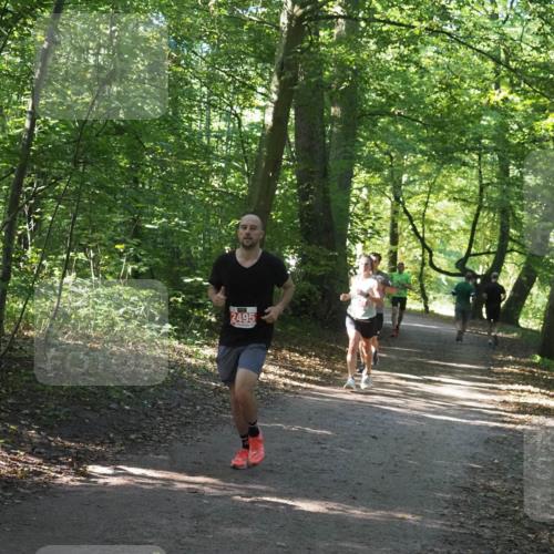 22.09.2024 - 32. Volkslauf durch das schöne Alstertal Miley Keyser http://msf.ph/oto/7136376 22.09.2024 10:40:22 Laufen 2495 meine-sportfotos.de