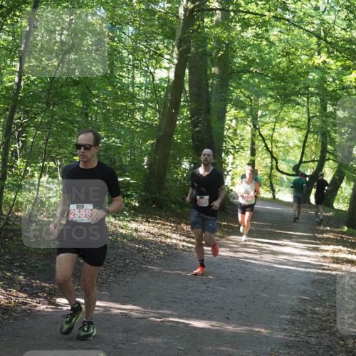 22.09.2024 - 32. Volkslauf durch das schöne Alstertal Miley Keyser http://msf.ph/oto/7136377 22.09.2024 10:40:21 Laufen 2559 meine-sportfotos.de