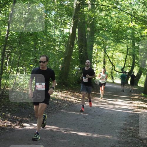 22.09.2024 - 32. Volkslauf durch das schöne Alstertal Miley Keyser http://msf.ph/oto/7136378 22.09.2024 10:40:21 Laufen 2559, 2495 meine-sportfotos.de