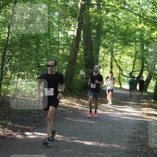 22.09.2024 - 32. Volkslauf durch das schöne Alstertal Miley Keyser http://msf.ph/oto/7136379 22.09.2024 10:40:21 Laufen 2559 meine-sportfotos.de
