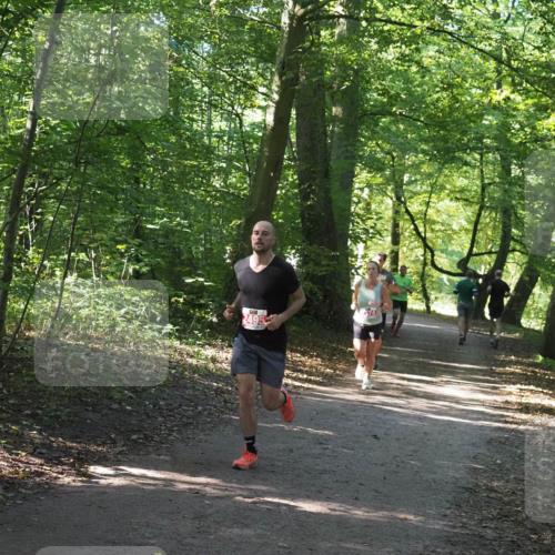 22.09.2024 - 32. Volkslauf durch das schöne Alstertal Miley Keyser http://msf.ph/oto/7136380 22.09.2024 10:40:21 Laufen 2495, 14 meine-sportfotos.de