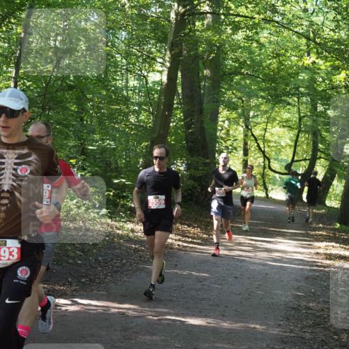 22.09.2024 - 32. Volkslauf durch das schöne Alstertal Miley Keyser http://msf.ph/oto/7136381 22.09.2024 10:40:20 Laufen 2493, 2559, 2495 meine-sportfotos.de