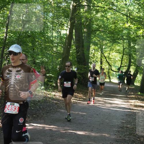 22.09.2024 - 32. Volkslauf durch das schöne Alstertal Miley Keyser http://msf.ph/oto/7136382 22.09.2024 10:40:20 Laufen 2493, 2559, 2495, 2374 meine-sportfotos.de