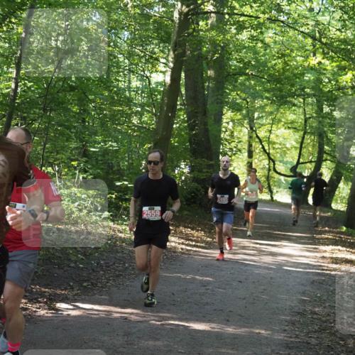 22.09.2024 - 32. Volkslauf durch das schöne Alstertal Miley Keyser http://msf.ph/oto/7136383 22.09.2024 10:40:20 Laufen 2493, 2559, 2495 meine-sportfotos.de