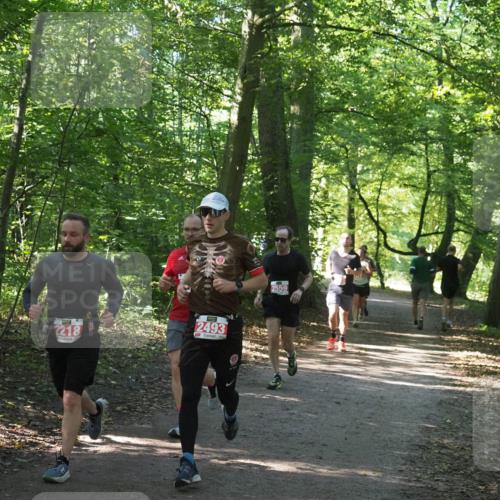 22.09.2024 - 32. Volkslauf durch das schöne Alstertal Miley Keyser http://msf.ph/oto/7136384 22.09.2024 10:40:19 Laufen 2218, 2493, 2559 meine-sportfotos.de