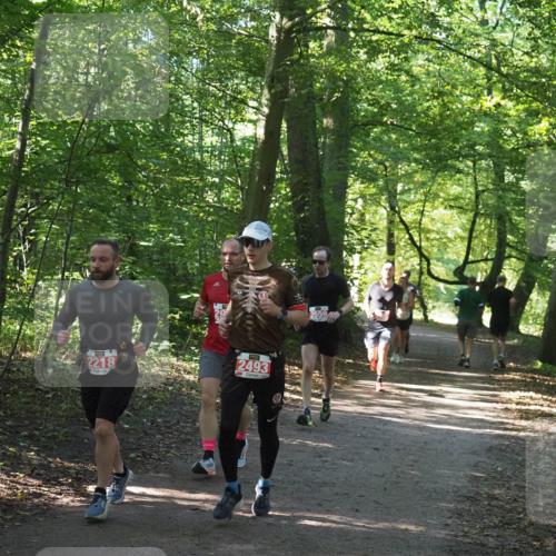 22.09.2024 - 32. Volkslauf durch das schöne Alstertal Miley Keyser http://msf.ph/oto/7136385 22.09.2024 10:40:19 Laufen 2218, 2493 meine-sportfotos.de