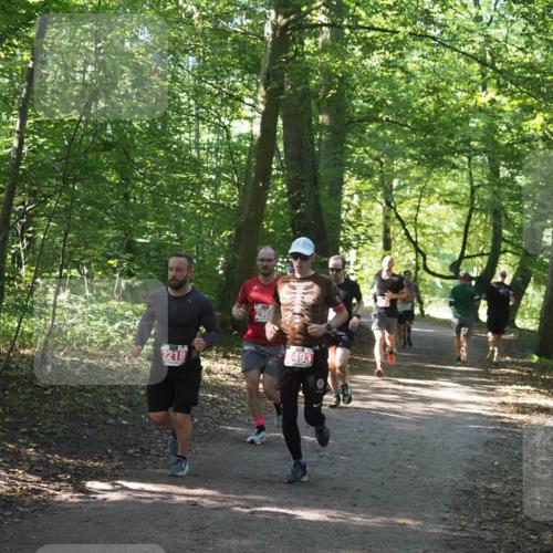 22.09.2024 - 32. Volkslauf durch das schöne Alstertal Miley Keyser http://msf.ph/oto/7136386 22.09.2024 10:40:18 Laufen 2218, 296, 2493 meine-sportfotos.de