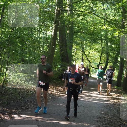 22.09.2024 - 32. Volkslauf durch das schöne Alstertal Miley Keyser http://msf.ph/oto/7136387 22.09.2024 10:40:16 Laufen 2523, 156 meine-sportfotos.de