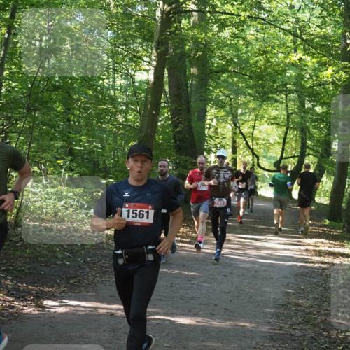 22.09.2024 - 32. Volkslauf durch das schöne Alstertal Miley Keyser http://msf.ph/oto/7136388 22.09.2024 10:40:17 Laufen 252, 1561, 2493 meine-sportfotos.de