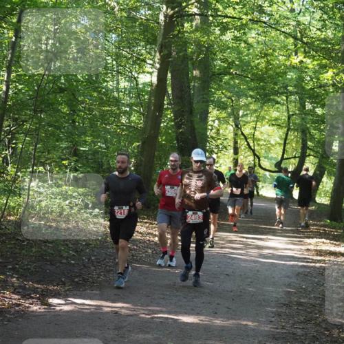 22.09.2024 - 32. Volkslauf durch das schöne Alstertal Miley Keyser http://msf.ph/oto/7136389 22.09.2024 10:40:18 Laufen 2218, 2969, 2493 meine-sportfotos.de