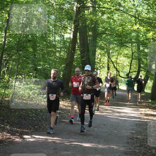22.09.2024 - 32. Volkslauf durch das schöne Alstertal Miley Keyser http://msf.ph/oto/7136390 22.09.2024 10:40:18 Laufen 2493, 2218 meine-sportfotos.de