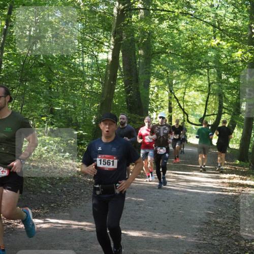 22.09.2024 - 32. Volkslauf durch das schöne Alstertal Miley Keyser http://msf.ph/oto/7136391 22.09.2024 10:40:17 Laufen 2525, 1561, 2493 meine-sportfotos.de