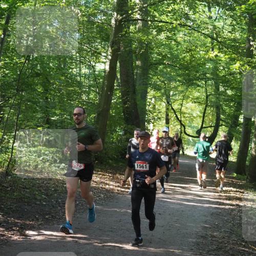 22.09.2024 - 32. Volkslauf durch das schöne Alstertal Miley Keyser http://msf.ph/oto/7136392 22.09.2024 10:40:16 Laufen 2525, 1561, 2493 meine-sportfotos.de