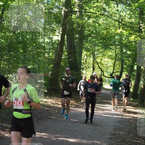 22.09.2024 - 32. Volkslauf durch das schöne Alstertal Miley Keyser http://msf.ph/oto/7136396 22.09.2024 10:40:15 Laufen 2474, 2243, 156 meine-sportfotos.de