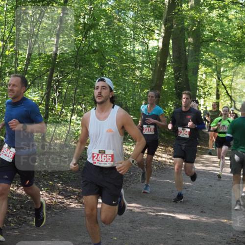 22.09.2024 - 32. Volkslauf durch das schöne Alstertal Miley Keyser http://msf.ph/oto/7136399 22.09.2024 10:40:13 Laufen 2946, 2465, 2318, 2354, 243 meine-sportfotos.de