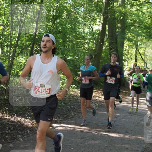 22.09.2024 - 32. Volkslauf durch das schöne Alstertal Miley Keyser http://msf.ph/oto/7136400 22.09.2024 10:40:13 Laufen 946, 2465, 2318, 2354 meine-sportfotos.de