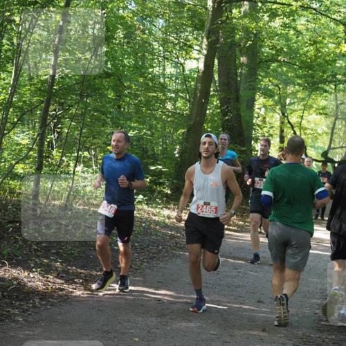 22.09.2024 - 32. Volkslauf durch das schöne Alstertal Miley Keyser http://msf.ph/oto/7136401 22.09.2024 10:40:12 Laufen 2946, 2465 meine-sportfotos.de