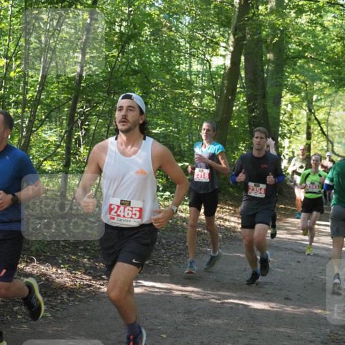 22.09.2024 - 32. Volkslauf durch das schöne Alstertal Miley Keyser http://msf.ph/oto/7136402 22.09.2024 10:40:13 Laufen 946, 20, 2465, 2318, 12243, 2354 meine-sportfotos.de