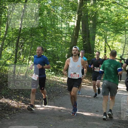 22.09.2024 - 32. Volkslauf durch das schöne Alstertal Miley Keyser http://msf.ph/oto/7136403 22.09.2024 10:40:12 Laufen 2946, 2465 meine-sportfotos.de