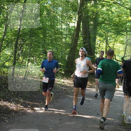 22.09.2024 - 32. Volkslauf durch das schöne Alstertal Miley Keyser http://msf.ph/oto/7136404 22.09.2024 10:40:12 Laufen 2946, 2465 meine-sportfotos.de