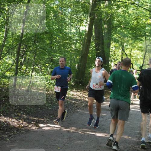 22.09.2024 - 32. Volkslauf durch das schöne Alstertal Miley Keyser http://msf.ph/oto/7136406 22.09.2024 10:40:12 Laufen 2465 meine-sportfotos.de
