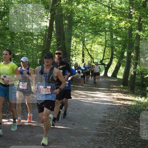 22.09.2024 - 32. Volkslauf durch das schöne Alstertal Miley Keyser http://msf.ph/oto/7136407 22.09.2024 10:40:07 Laufen 2279, 2964 meine-sportfotos.de