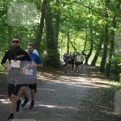 22.09.2024 - 32. Volkslauf durch das schöne Alstertal Miley Keyser http://msf.ph/oto/7136408 22.09.2024 10:40:08 Laufen 2958, 2397 meine-sportfotos.de