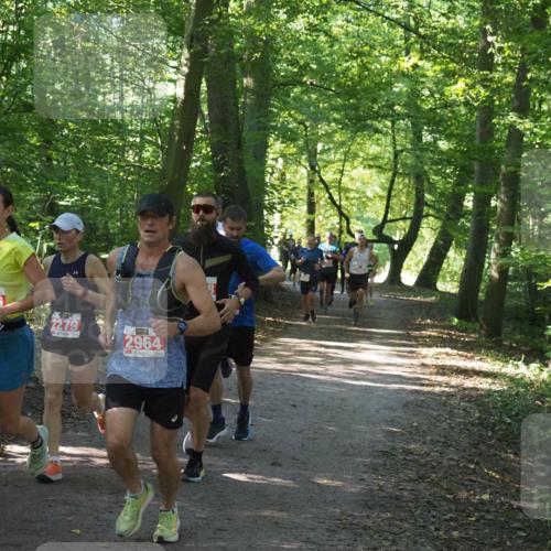 22.09.2024 - 32. Volkslauf durch das schöne Alstertal Miley Keyser http://msf.ph/oto/7136410 22.09.2024 10:40:07 Laufen 2966, 2279, 2964 meine-sportfotos.de