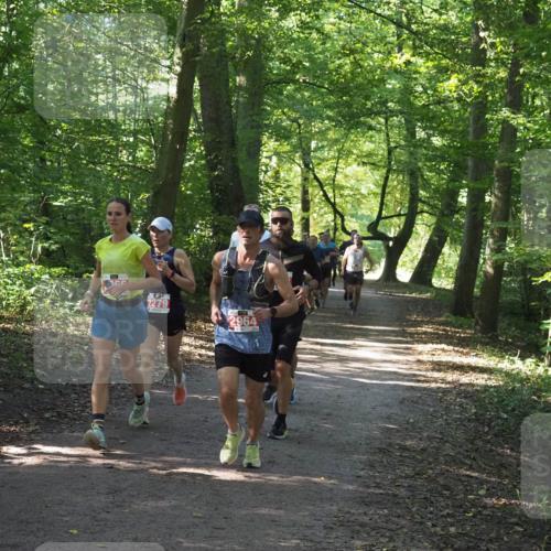 22.09.2024 - 32. Volkslauf durch das schöne Alstertal Miley Keyser http://msf.ph/oto/7136411 22.09.2024 10:40:06 Laufen 2279, 2964 meine-sportfotos.de