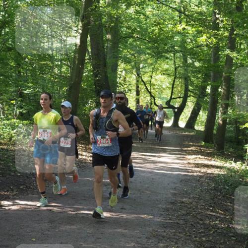 22.09.2024 - 32. Volkslauf durch das schöne Alstertal Miley Keyser http://msf.ph/oto/7136412 22.09.2024 10:40:06 Laufen 2966, 2964, 2279 meine-sportfotos.de