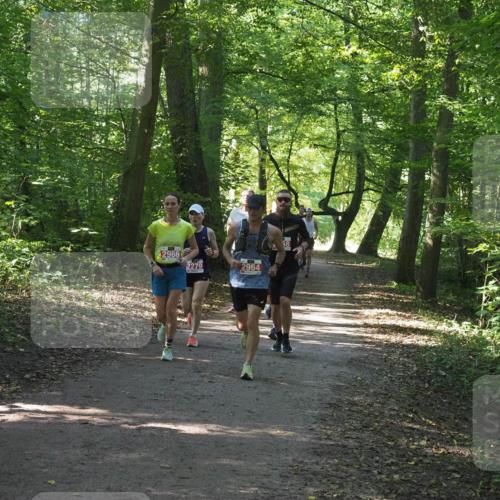22.09.2024 - 32. Volkslauf durch das schöne Alstertal Miley Keyser http://msf.ph/oto/7136414 22.09.2024 10:40:05 Laufen 2966, 2279, 2964, 58 meine-sportfotos.de