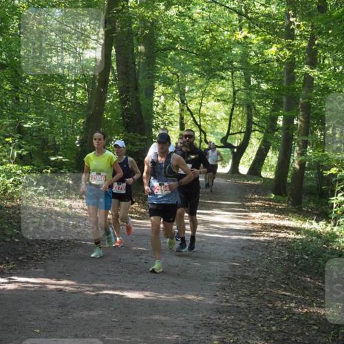22.09.2024 - 32. Volkslauf durch das schöne Alstertal Miley Keyser http://msf.ph/oto/7136415 22.09.2024 10:40:06 Laufen 2966, 2279, 2964 meine-sportfotos.de
