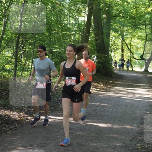 22.09.2024 - 32. Volkslauf durch das schöne Alstertal Miley Keyser http://msf.ph/oto/7136420 22.09.2024 10:39:55 Laufen 2541, 2402 meine-sportfotos.de